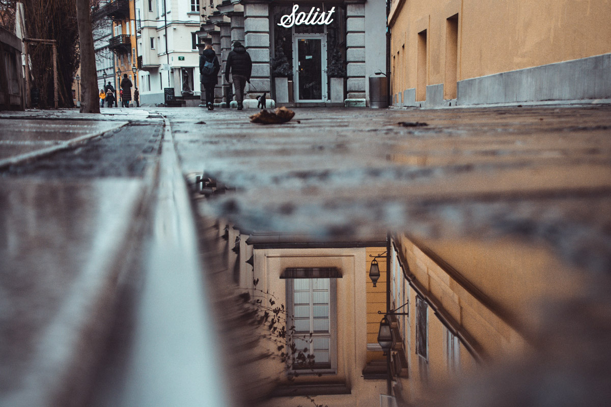 Ljubljana reflection