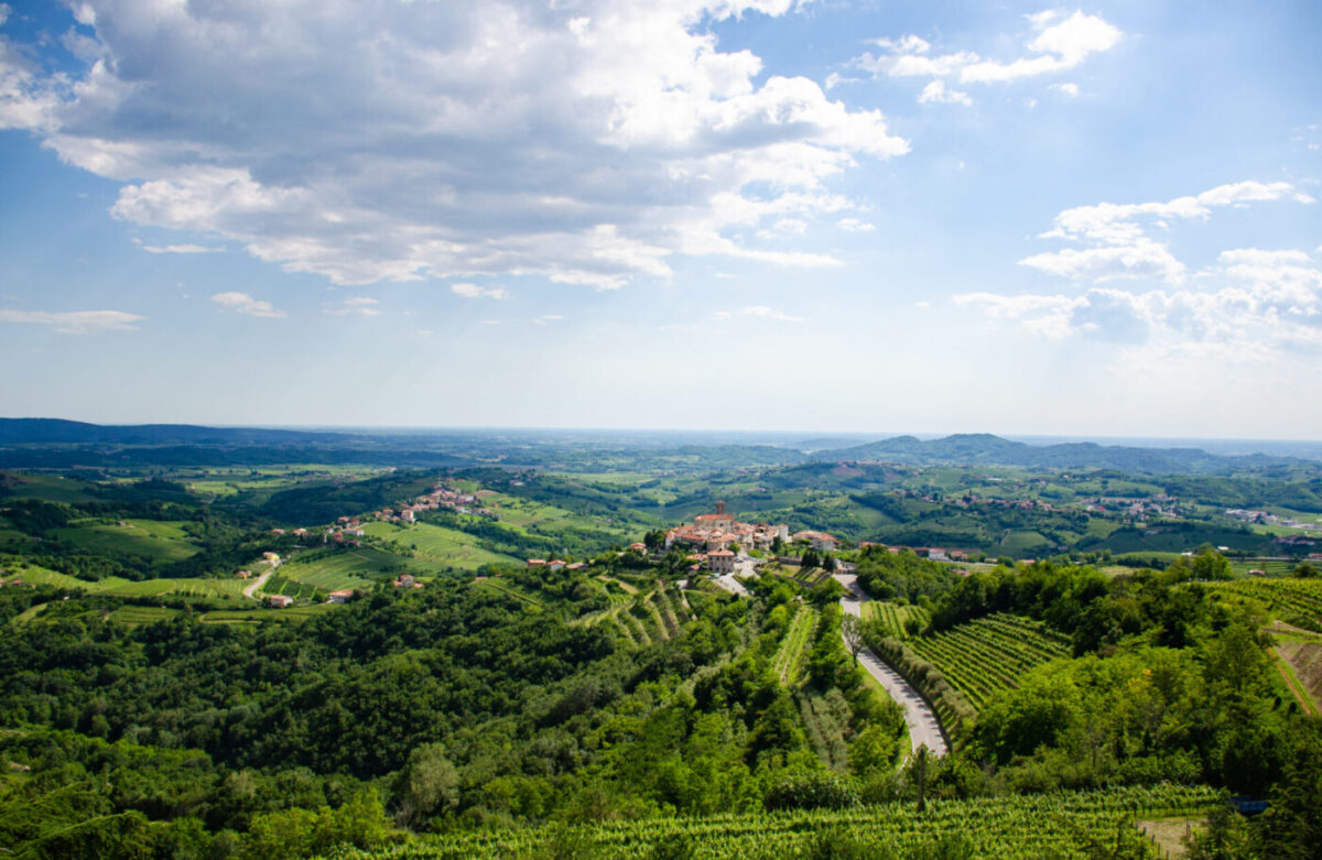 Wide view over the Gorizia Hills: rolling green ridges lined with terraced vineyards, a hilltop village with a church tower, and tall cumulus cloud above