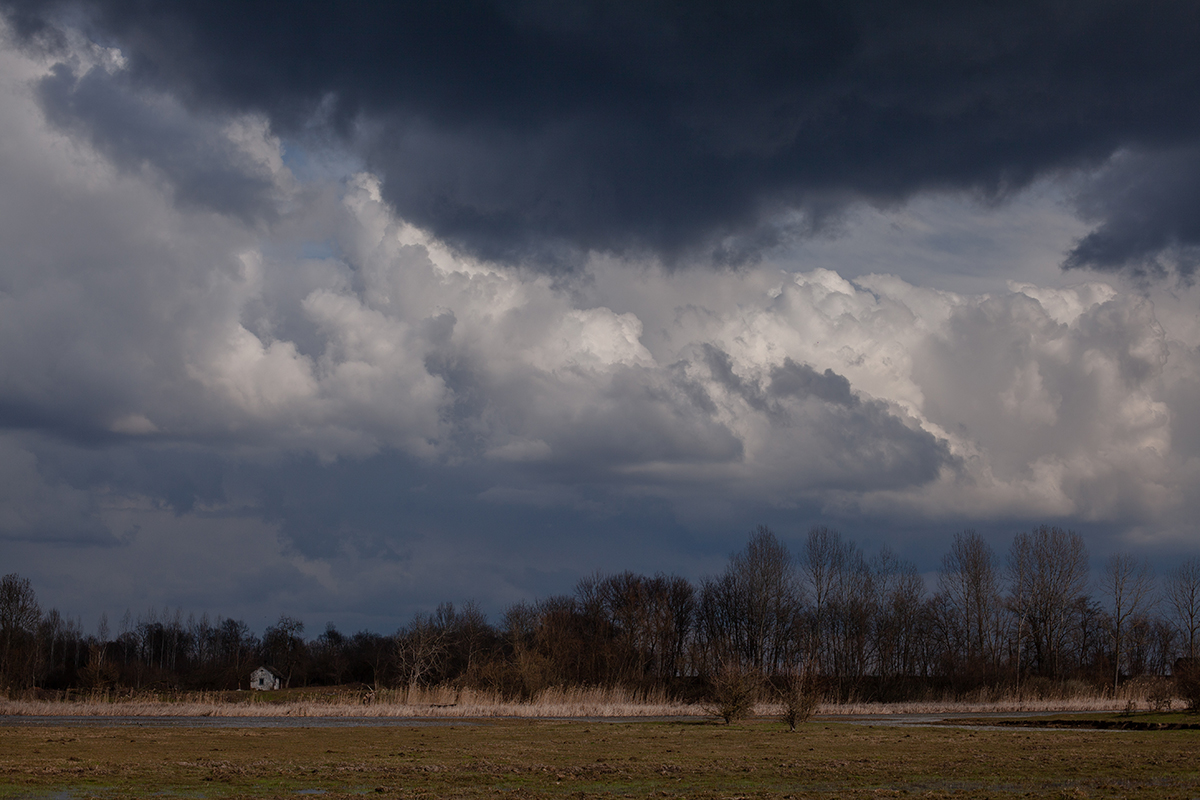 Storm clouds building over the marshland and bare trees of Zasavica nature reserve, a small white building barely visible on the horizon