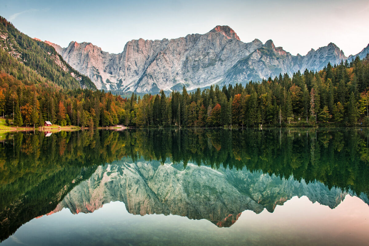 Mangart reflected.