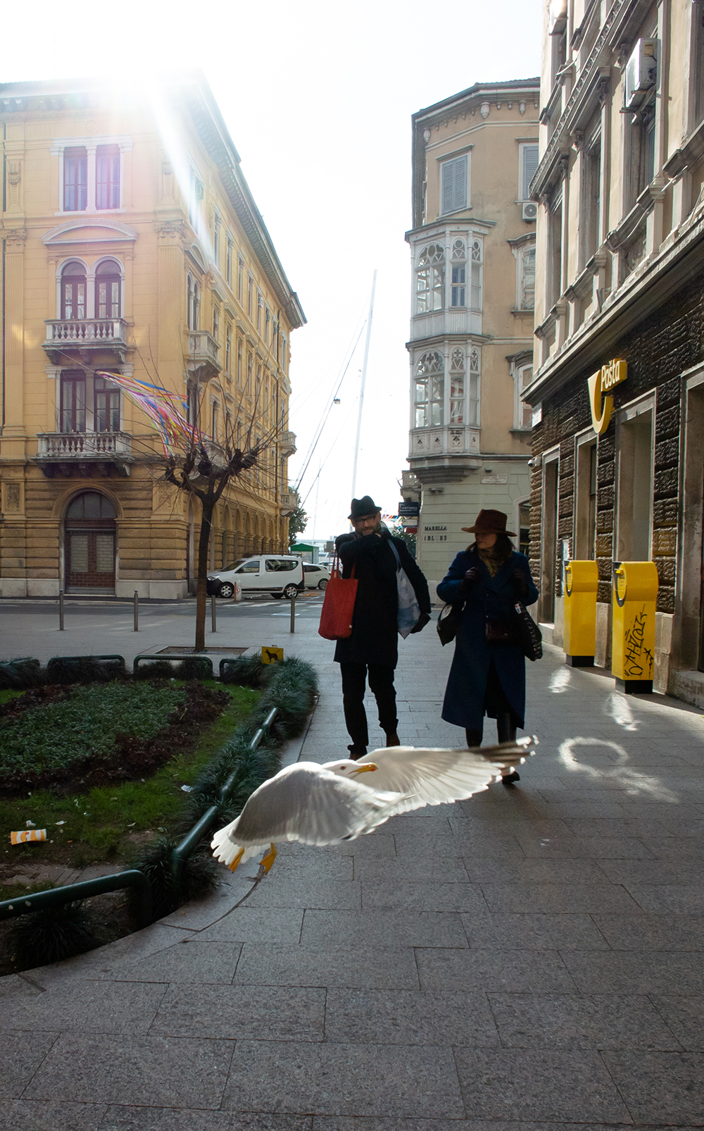 A seagull caught mid-flight low over a Rijeka plaza, wings spread, with two people in coats and hats walking behind it past yellow post boxes