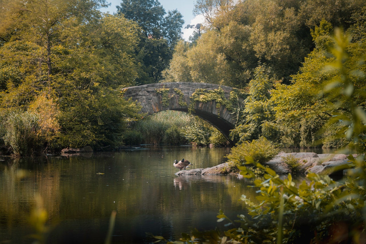 Gapstow Bridge crossing the Pond amid early autumn foliage in Central Park