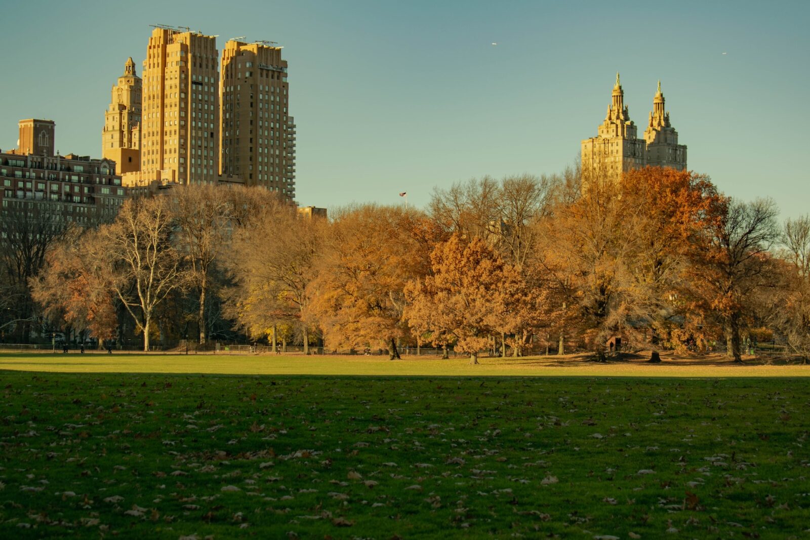 Great Lawn in late autumn with trees and Upper West Side towers beyond