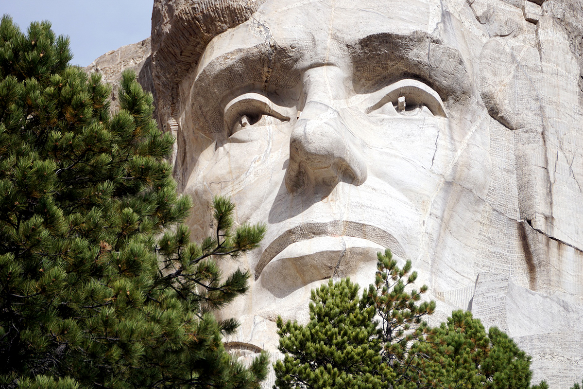 Close photograph of Theodore Roosevelt's face at Mount Rushmore beside a pine tree