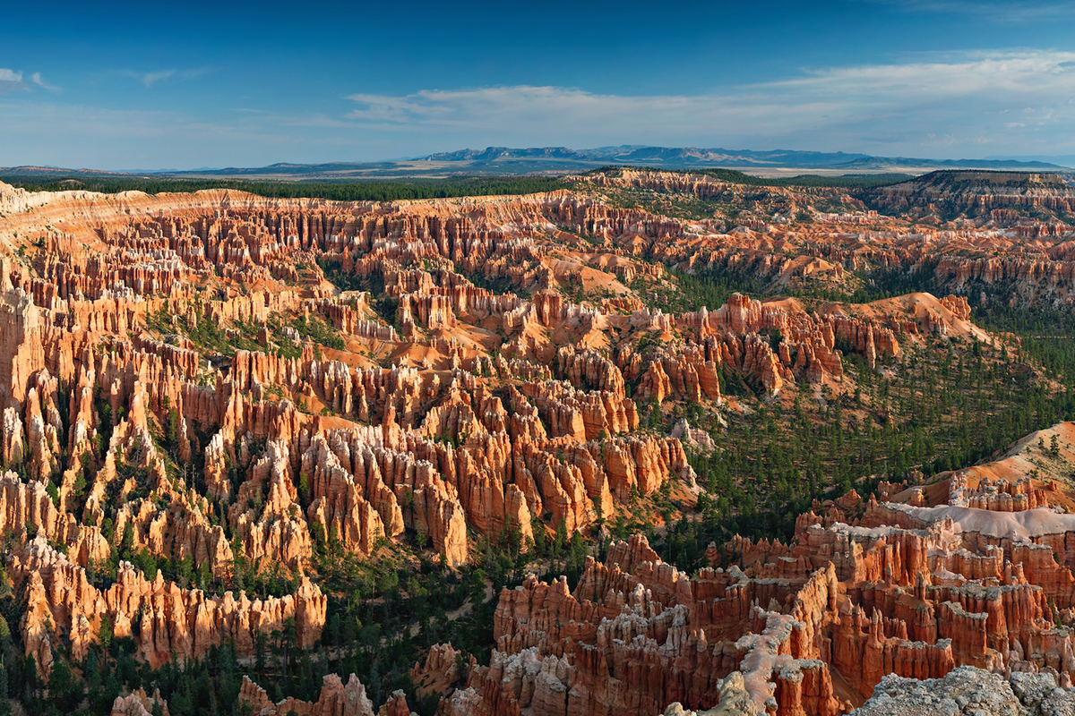 Dense hoodoos of the Silent City in warm daylight at Bryce Canyon