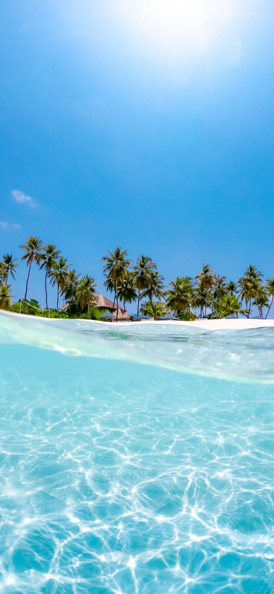 Tropical beach wallpaper with clear shallow water, white sand and a row of palm trees