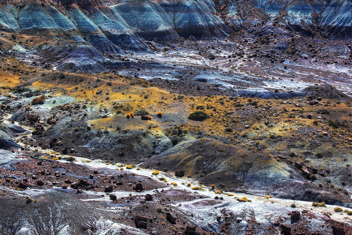 Elevated view across blue, ochre and grey badlands scattered with petrified wood