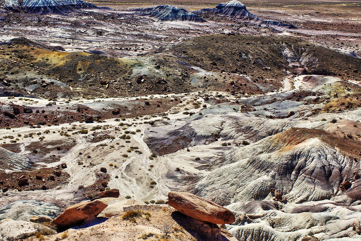 Elevated view over pale and blue badlands with scattered petrified wood at Blue Mesa