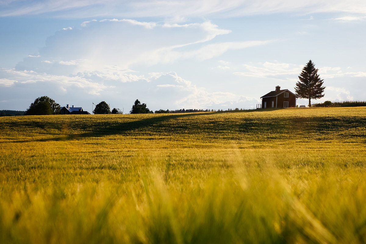 A rural landscape with nearby grass blurred across the foreground