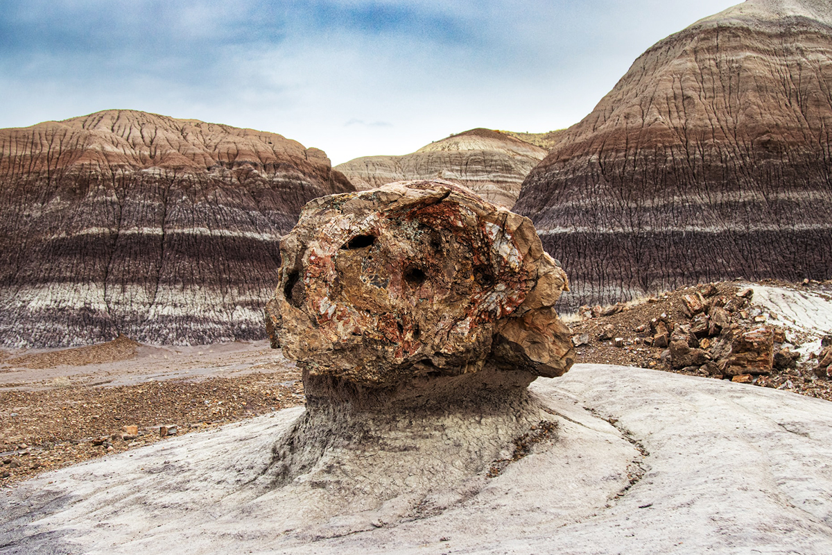 Large petrified log resting on pale sediment between banded badland hills