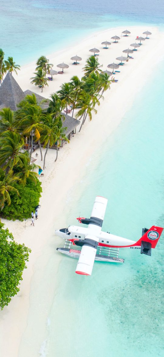 Red and white seaplane beside a narrow tropical beach with palms