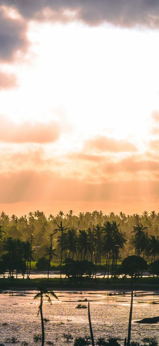 Palm-lined tropical shore beneath a bright gold and orange sunset sky